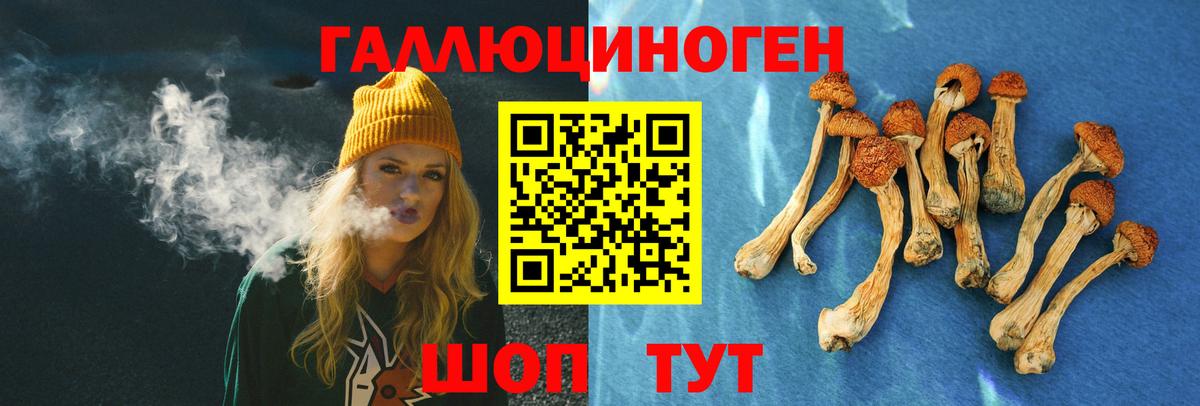 Ишимбай  Галлюциногенные грибы мицелий  Вход с VPN 